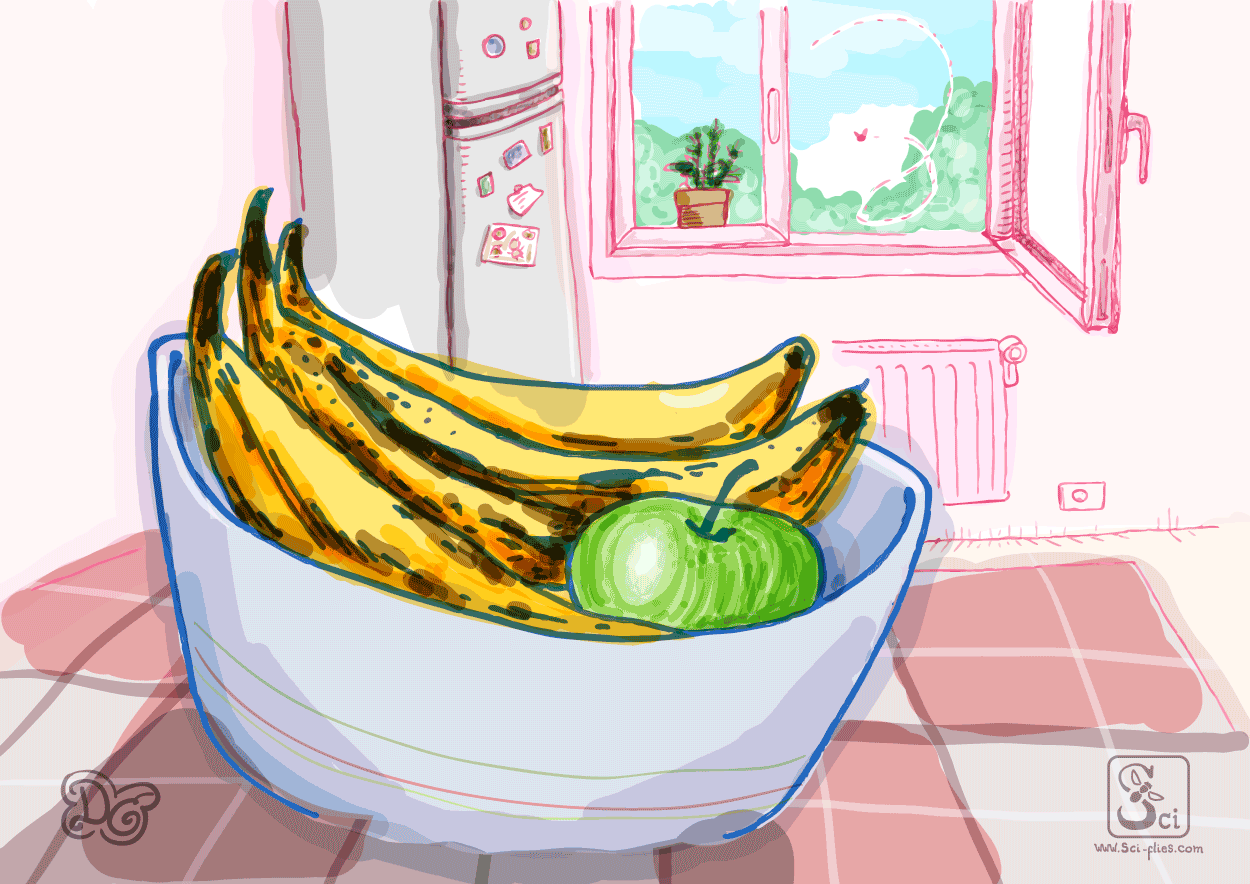 Bananas on a table in the kitchen