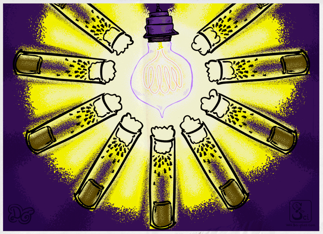 Phototaxis in Drososphila flies. Flies walk towards a lightbulb.