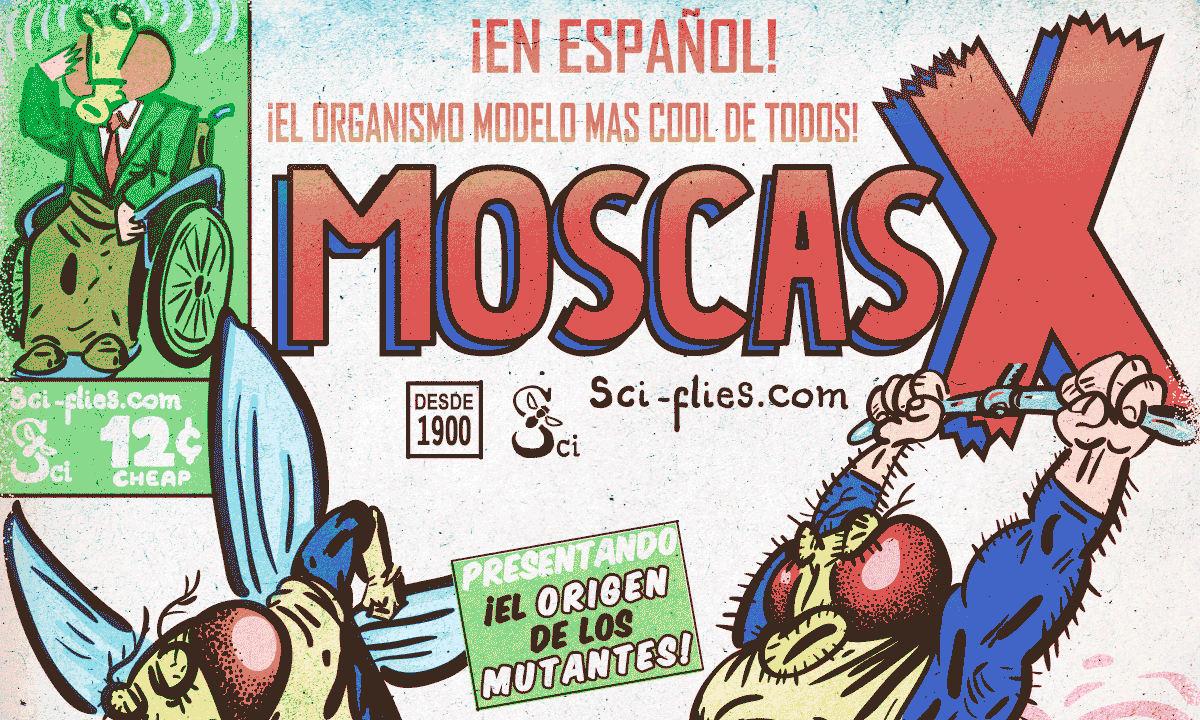 Las Moscas-X. Mutantes de Drosophila como heroes de historieta y comics.