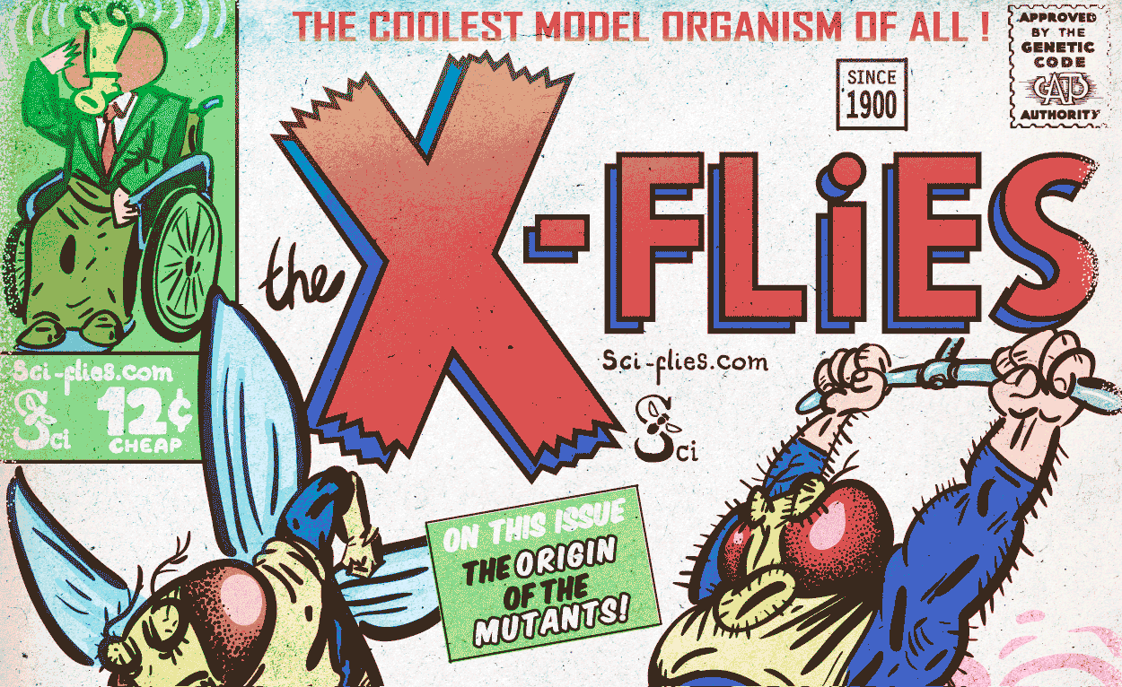 Mutants and Mutations – The Uncanny X-Flies