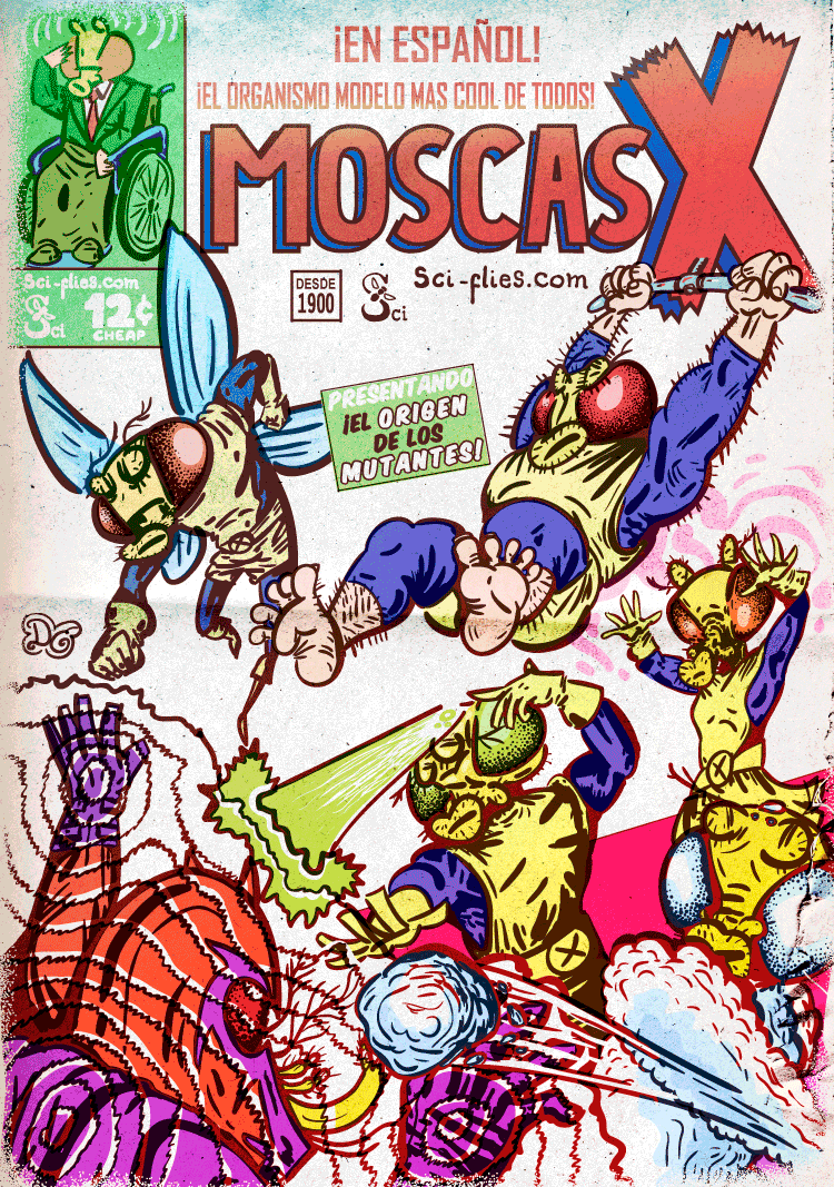 Mutantes de Drosophila como heroes de comics