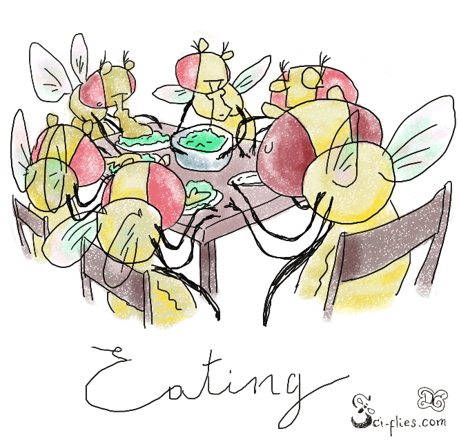 Flies eating in groups