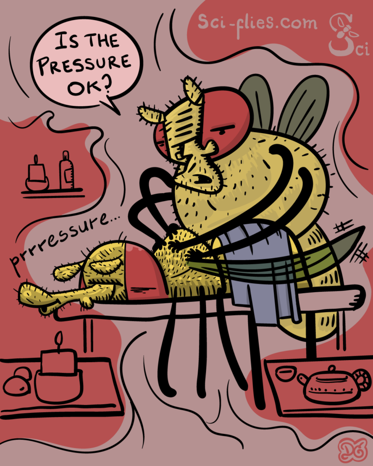 Flies' sense of touch depends on pressures senses through their hairs.